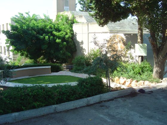 גן ליז בבית הספר לאו בק בחיפה - המקום בו למדה